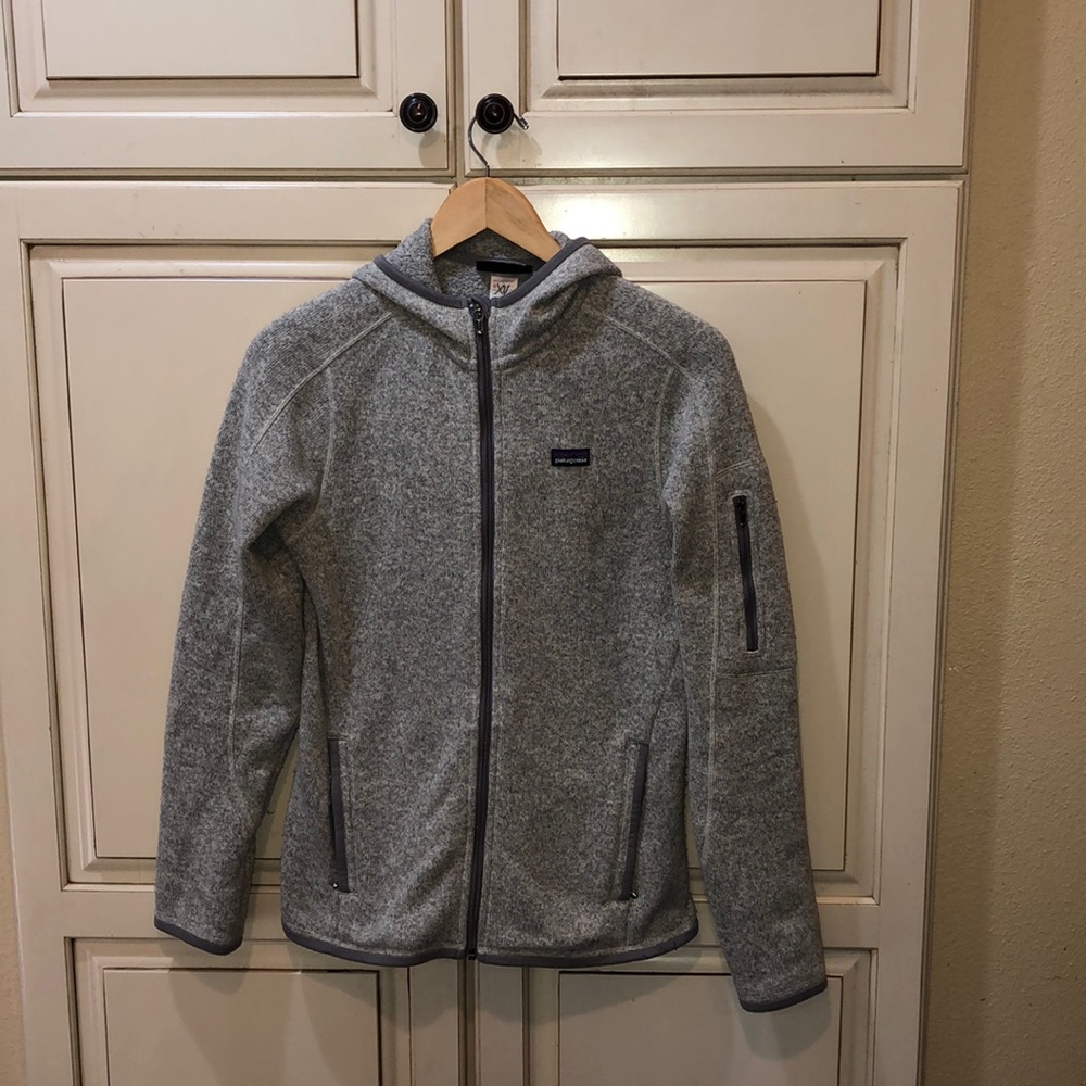 Patagonia better sweater hoodie